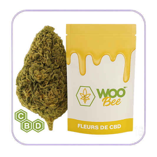 Jack Herer CBD Greenhouse – Fleurs de CBD multi-grammages (Woobee, <0,3% THC)