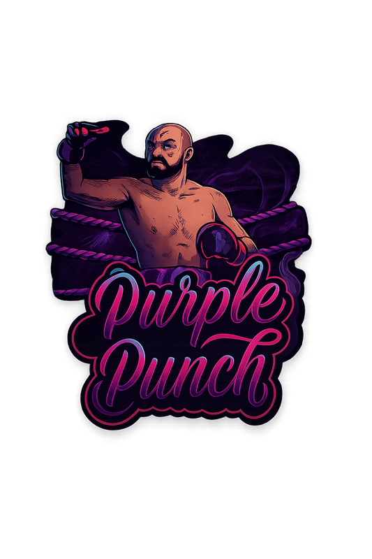 Sac Mylar Purple Punch – Stand Up Pouch personnalisée (PE laminé, étanche, alimentaire, hydrofuge)